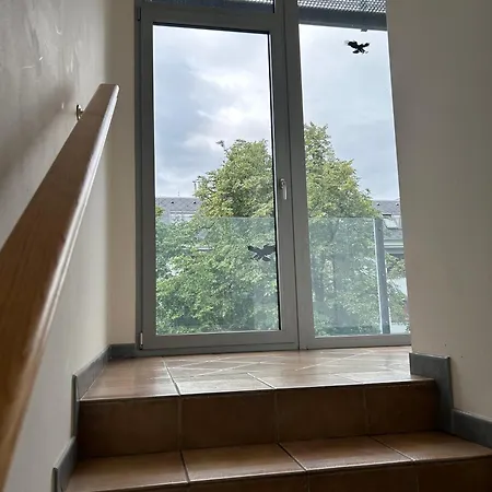 V Srdci Podebrad 100m2 Podiebrady