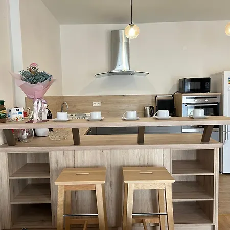 V Srdci Podebrad 100m2