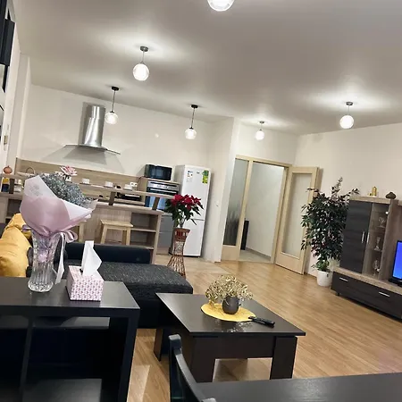 V Srdci Podebrad 100m2 Apartament *