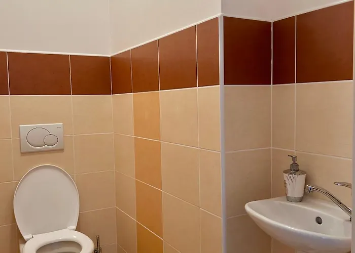 아파트 V Srdci Podebrad 100m2 *