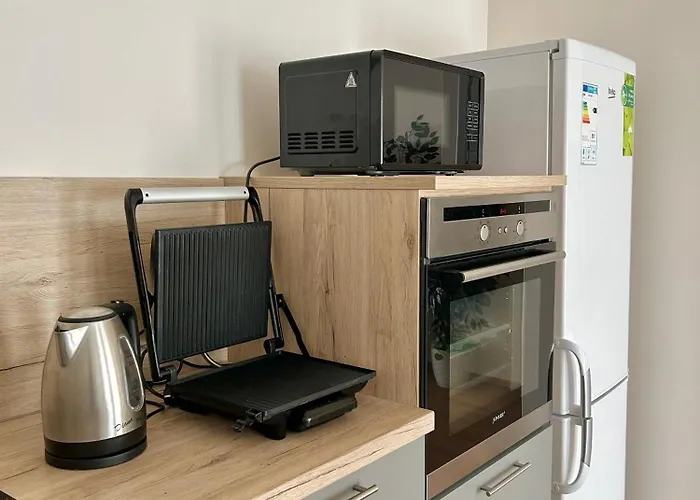 V Srdci Podebrad 100m2 아파트