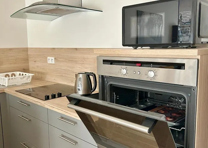 V Srdci Podebrad 100m2