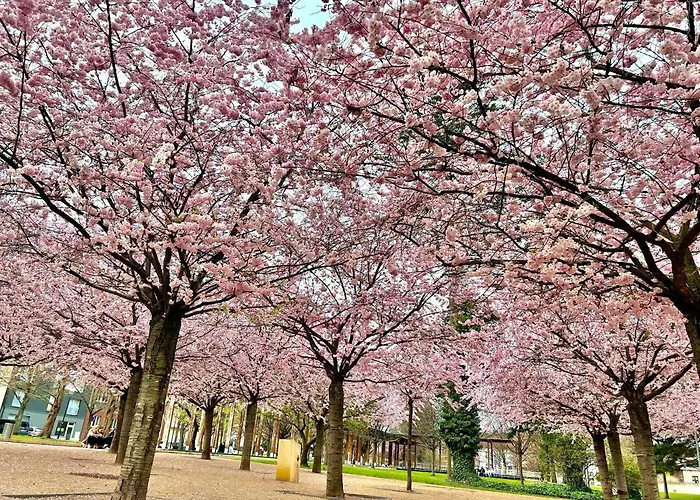 Apartament V Srdci Podebrad 100m2 Podiebrady