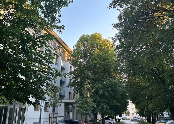 V Srdci Podebrad 100m2